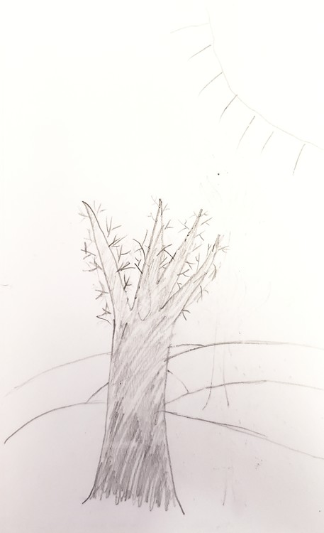 The Tree