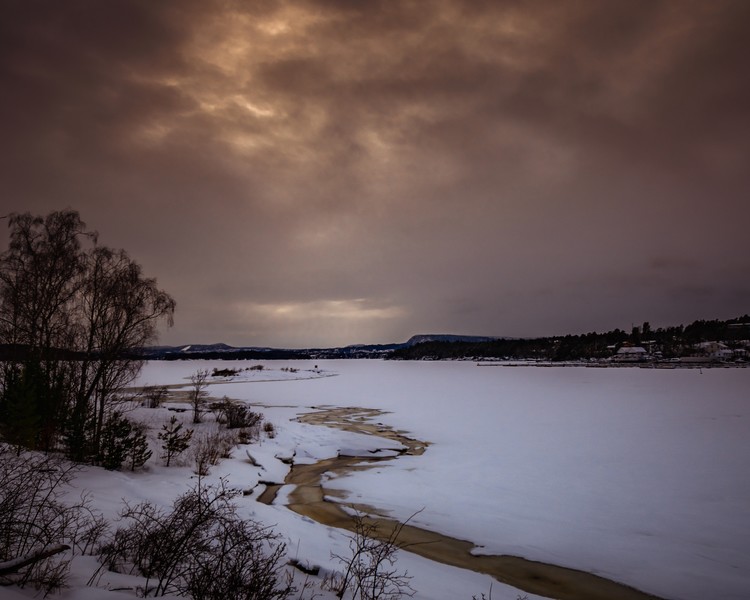 Moody landscape