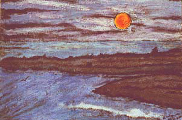 Sea Scape and Birds