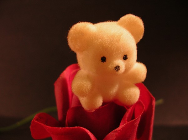 I love you Beary much!