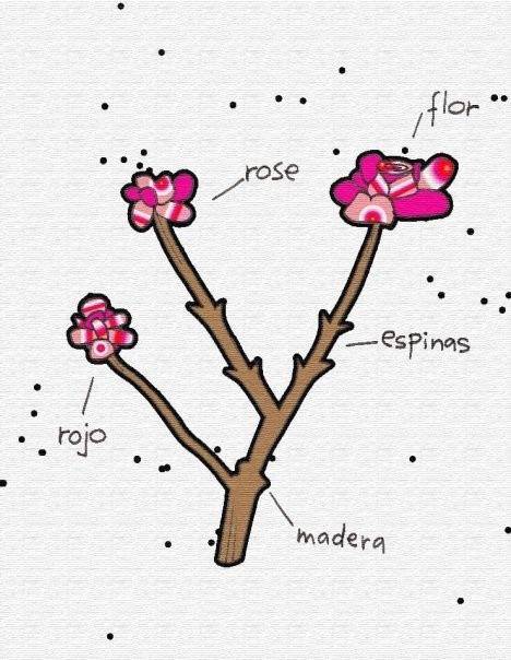 Rosa