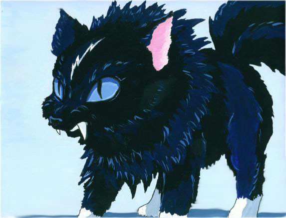 Angry kitty