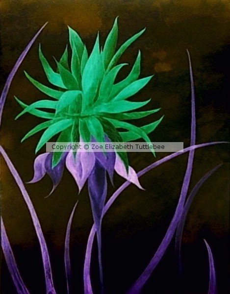 Midnight Bloom