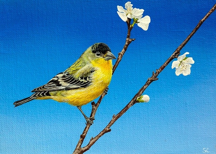 Flower and bird