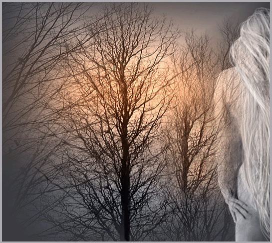 ...morning of Godiva