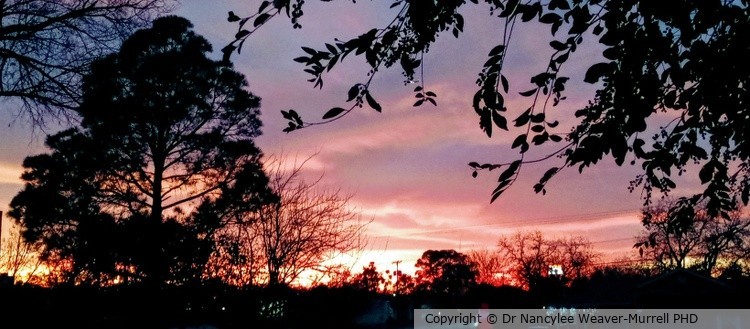 Texas sunset