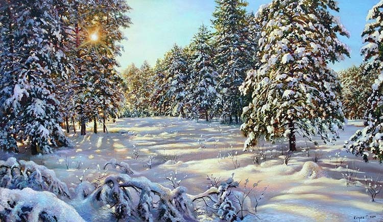 Winter in a Pine Forest