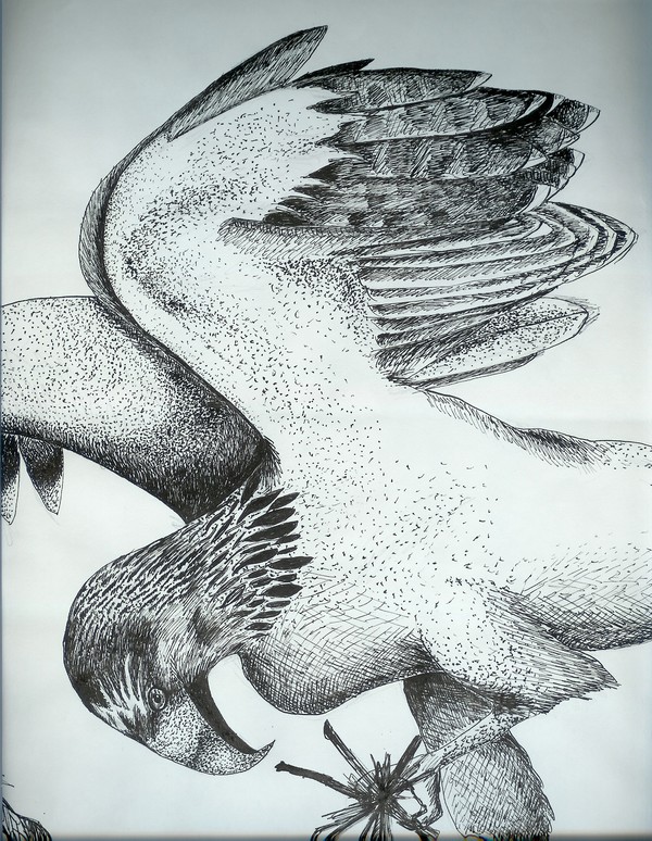 Eagle
