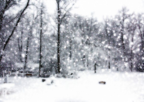 The Magic of Winter