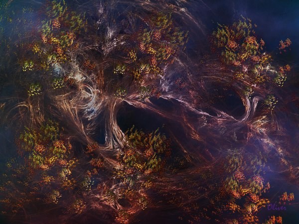 Autumn Whispers