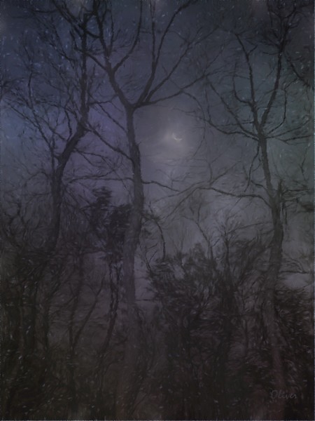 Winter Stirs From Slumber