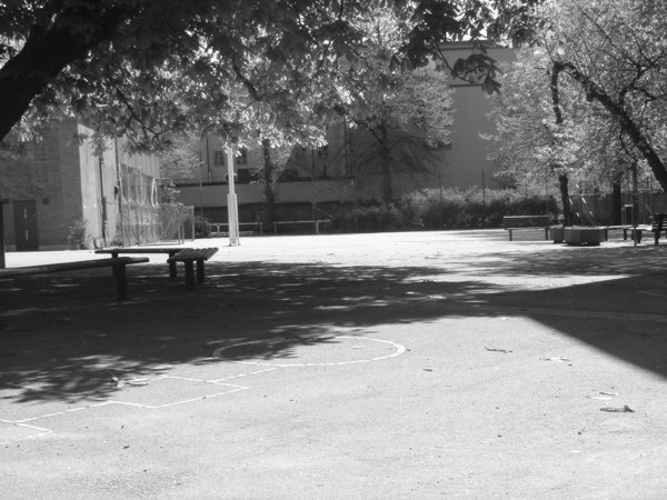 my schoolyard