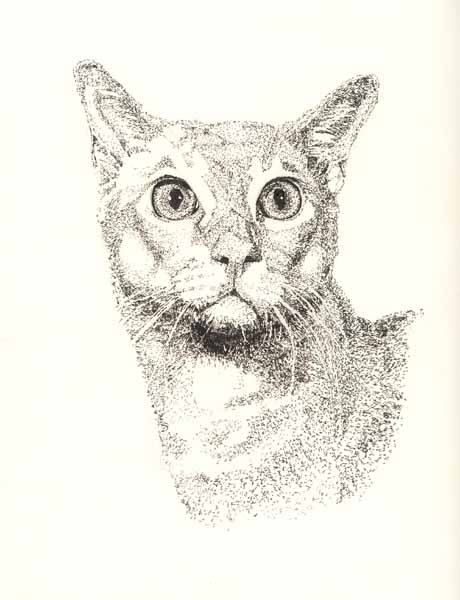Burmese