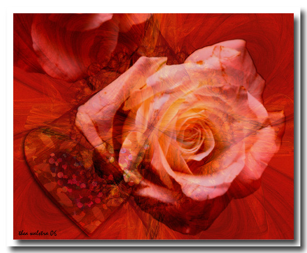 Signs of Passion