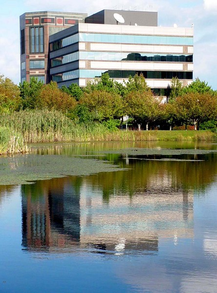 Reflections