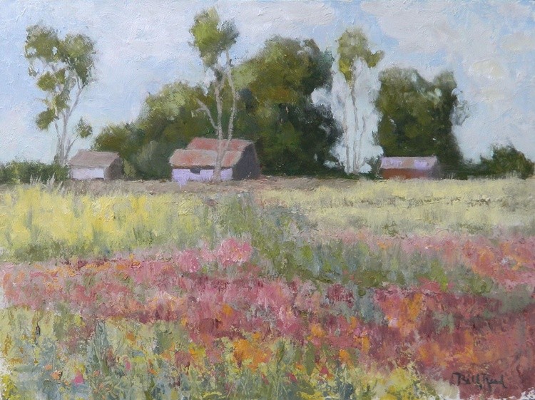Fields of Color oil 