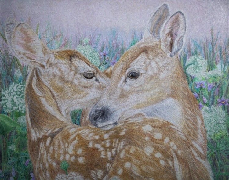 Twin Fawn Tenderness