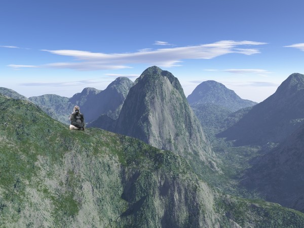 Gorilla Above the Mist