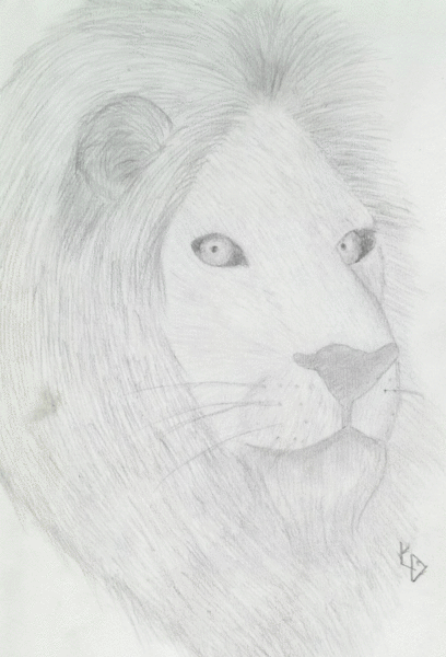 The King