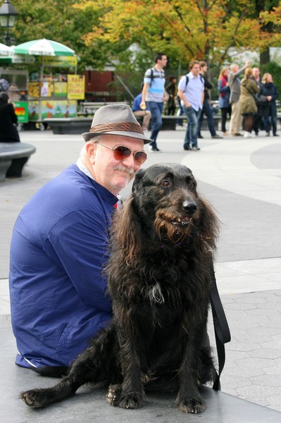 Man's best friend