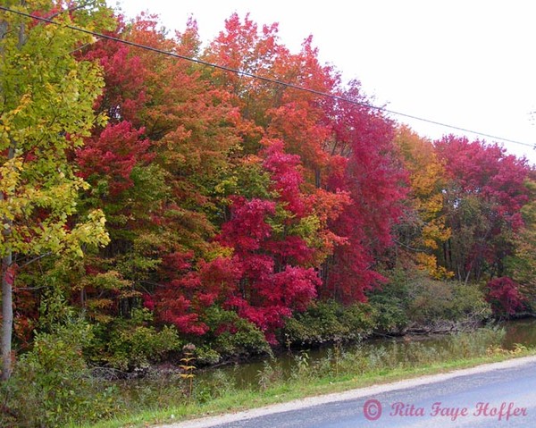 The Beginning of a Colorful Fall
