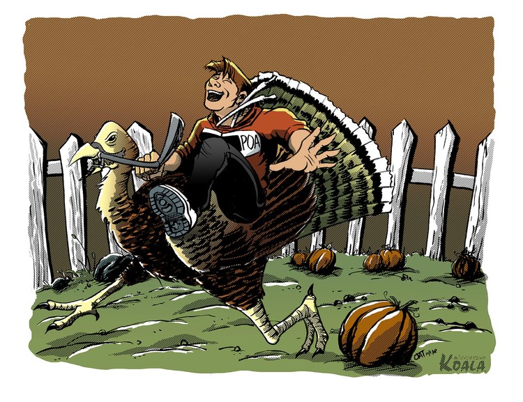 Wandering Koala rides The Wild Turkey