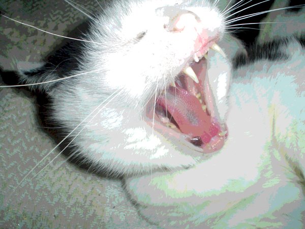 Lifes a scream!