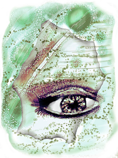 The Mind's Eye
