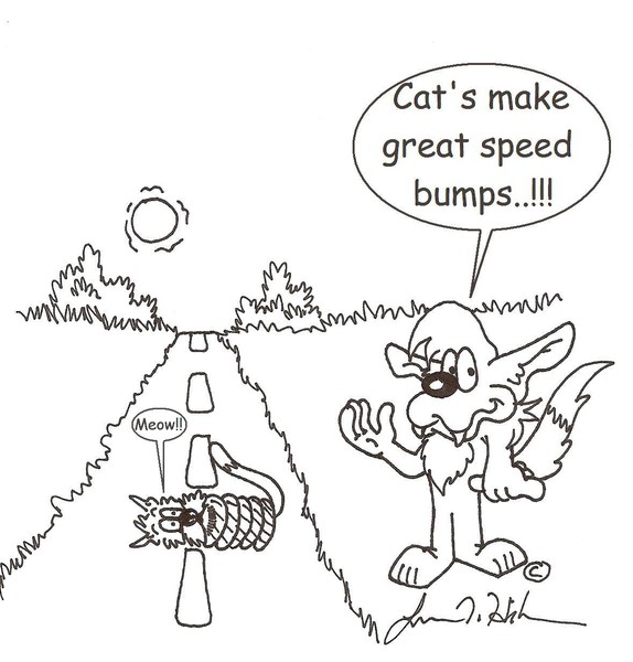 Speed-Bumps