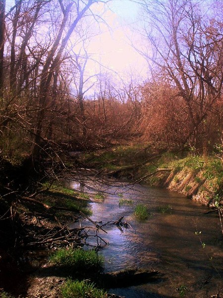 nature excursions pt. 3