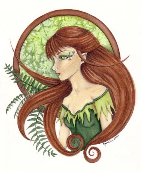 Fern