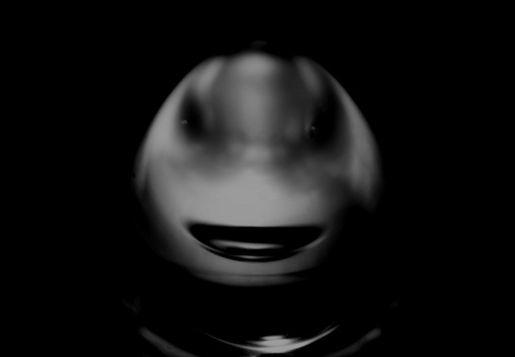 Distortion
