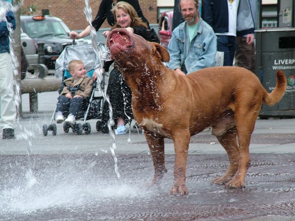 Water Play.