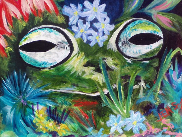 Frog Dreams