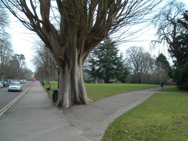 Pick a Path