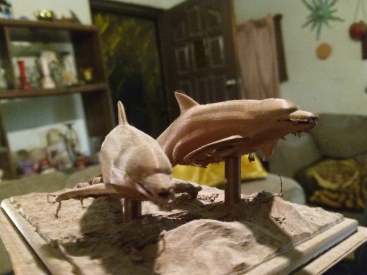DolphinCpr1