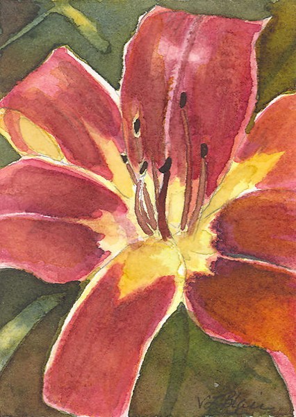 Lily Fire
