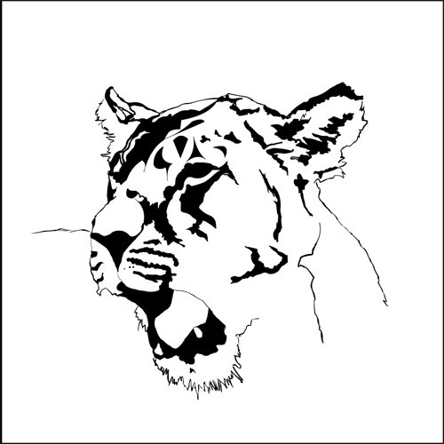 Rawr