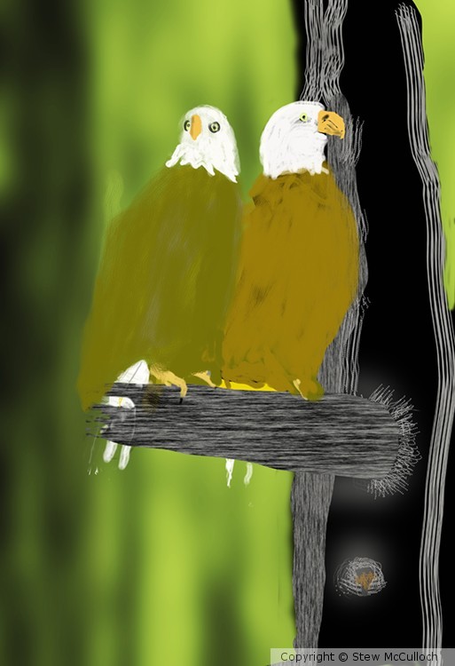 Eagles out on a Limb  P196