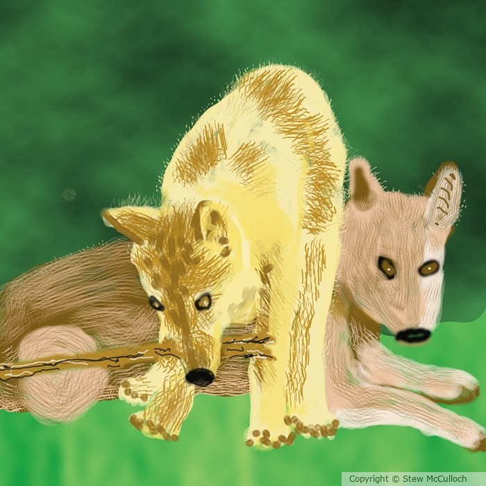 Mom Rests while Pup Plays  P338