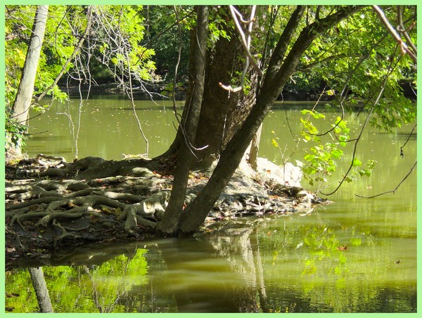 The River Runs