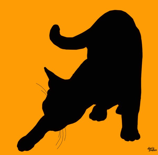 Cat 13