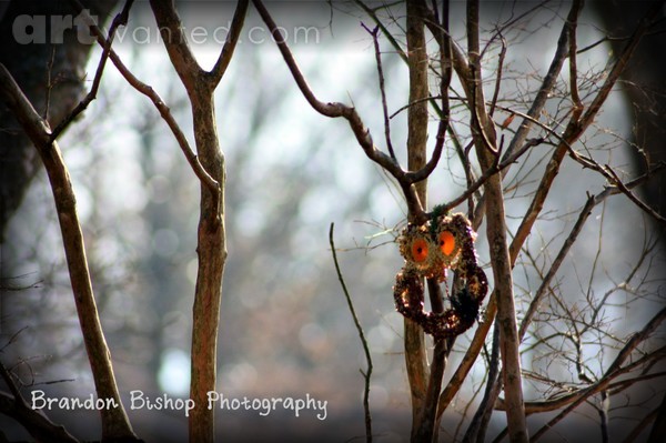 Owl Lookout