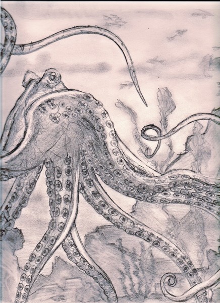 Octopus