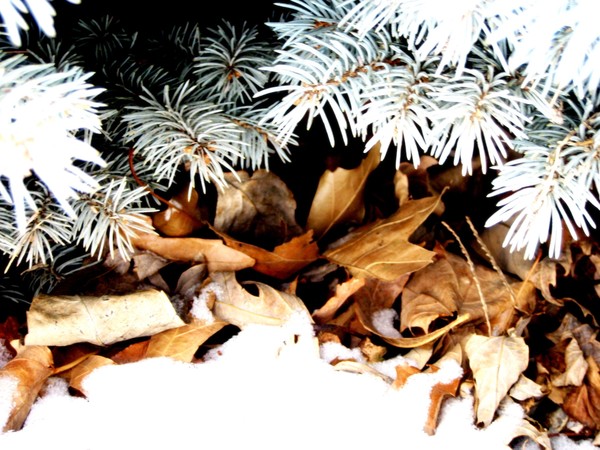 Green-Brown-White