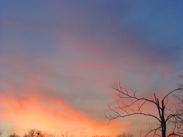 Cotton CAnDy SkIeS