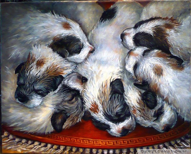 Puppy Swirl