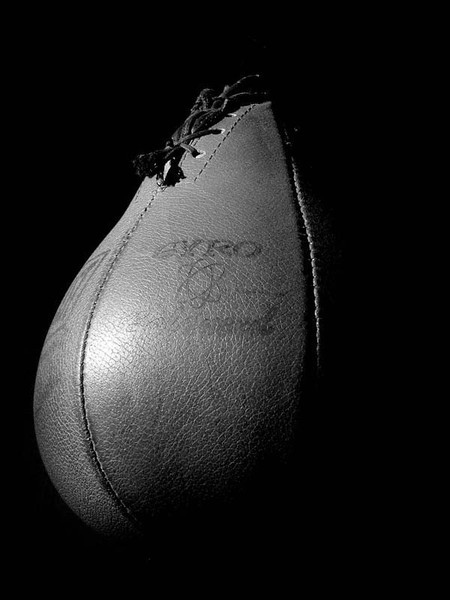 Speed Bag