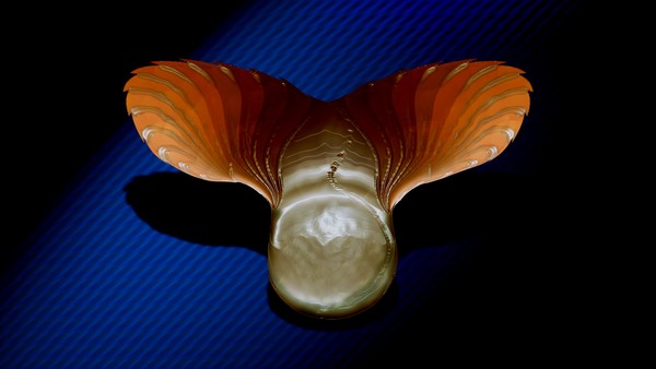 Orange Fly on Blue Couch