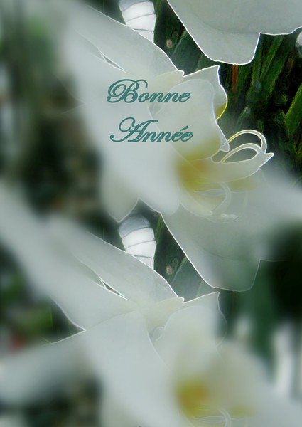 Bonne Année